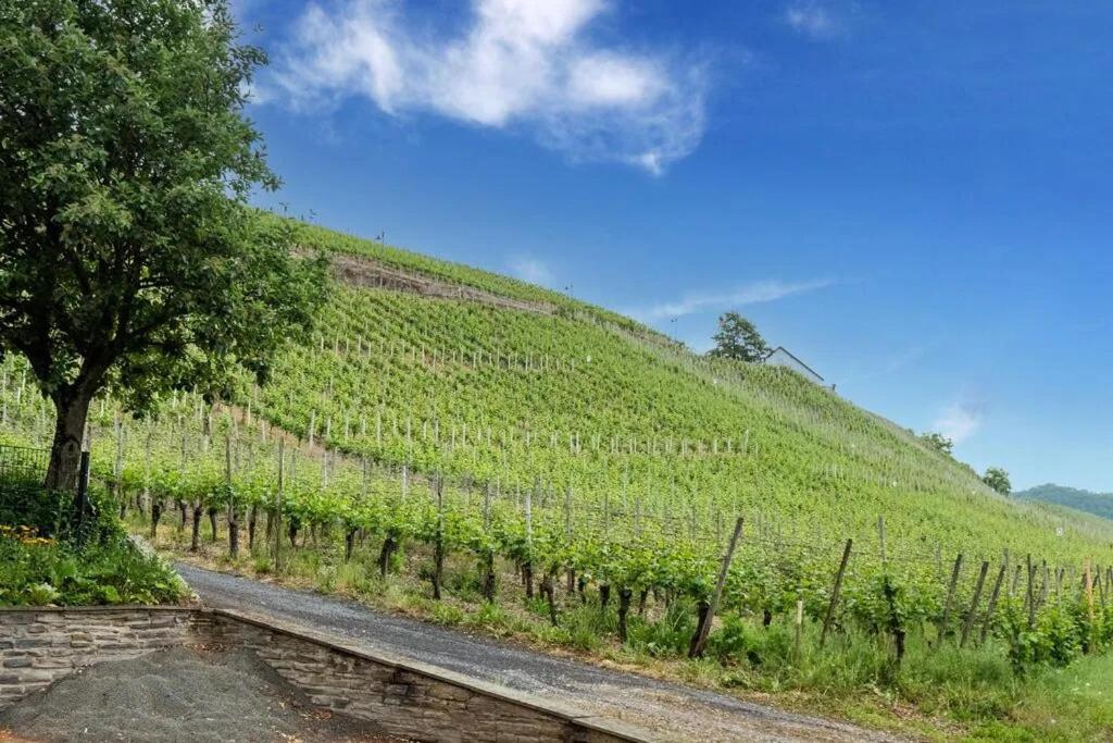 Appartamento Moselblick Kinheim Esterno foto